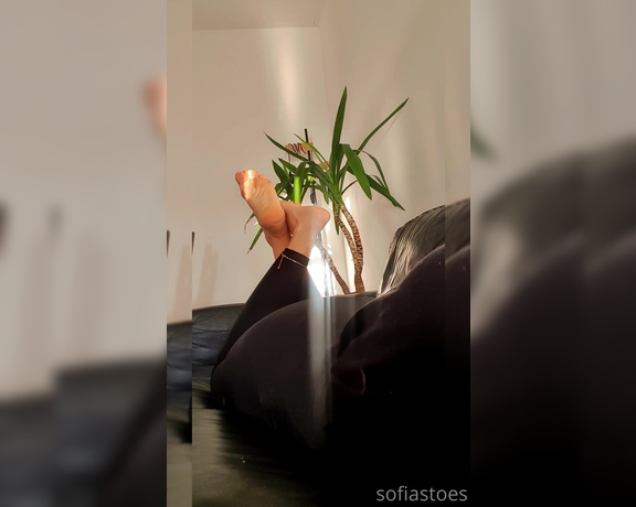 Sofiastoe aka Sofiastoes OnlyFans - I’m going to pretend I don’t see you staring at my flirty feet while I lay here playing on my phone