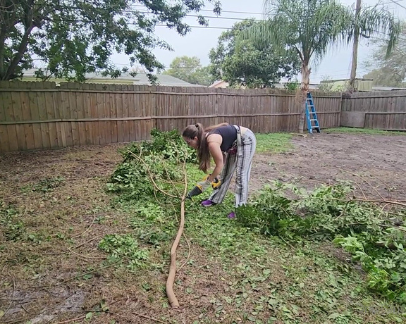 TerraMizu aka Terramizu OnlyFans - So a Brazilian Peppertree was not properly tended to, and now needs to be completely torn down becau